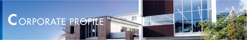 COMPANY PROFILE